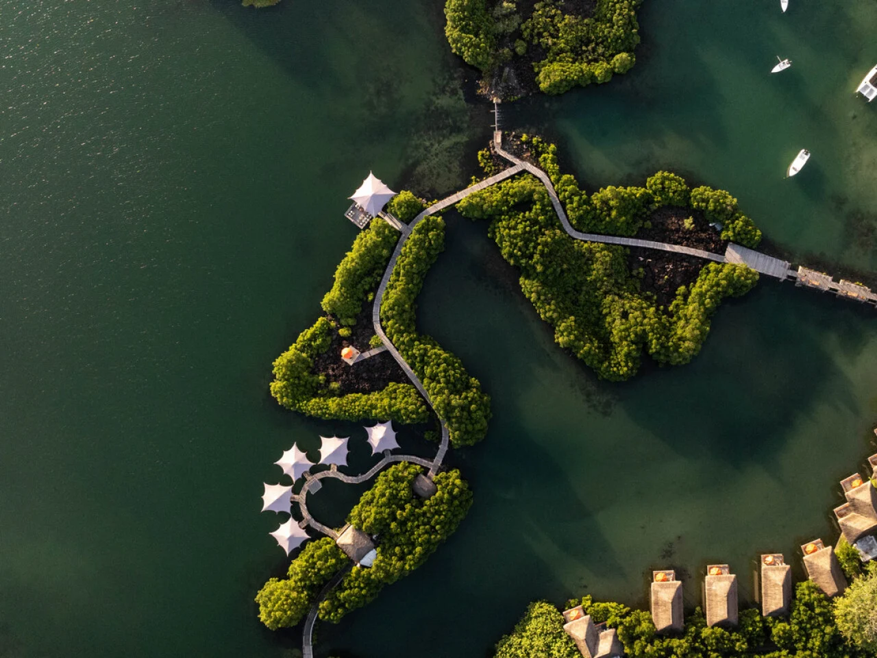 Constance Prince Maurice 4