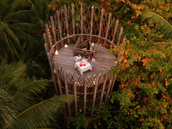 Cora Cora Maldives 6