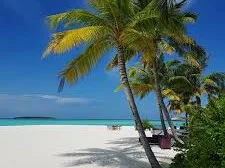 Dhigufaru Island Resort 1