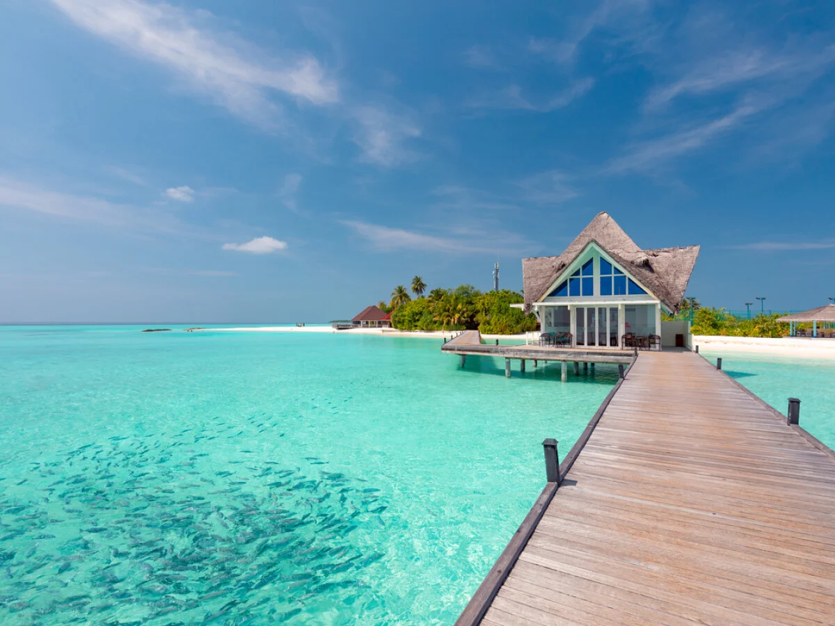 Dhigufaru Island Resort 11
