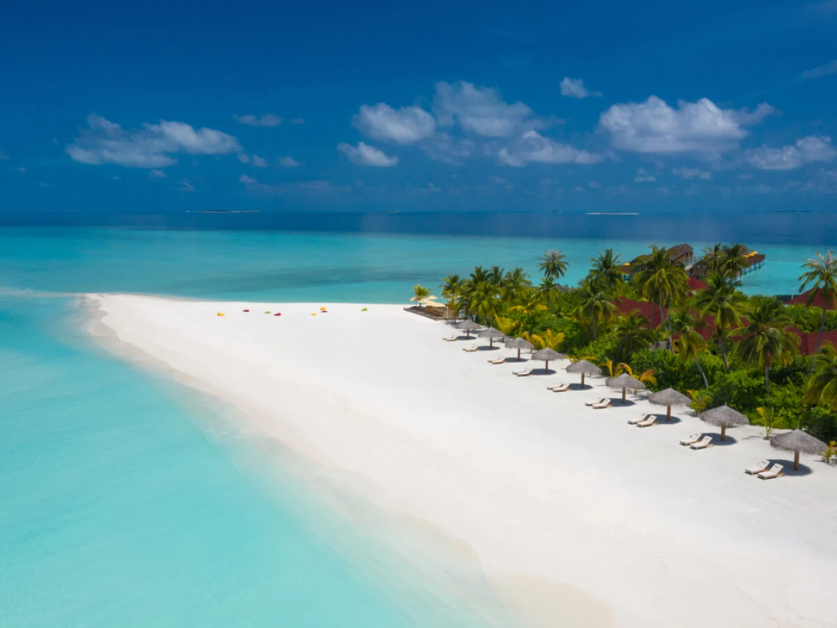 Dhigufaru Island Resort 18