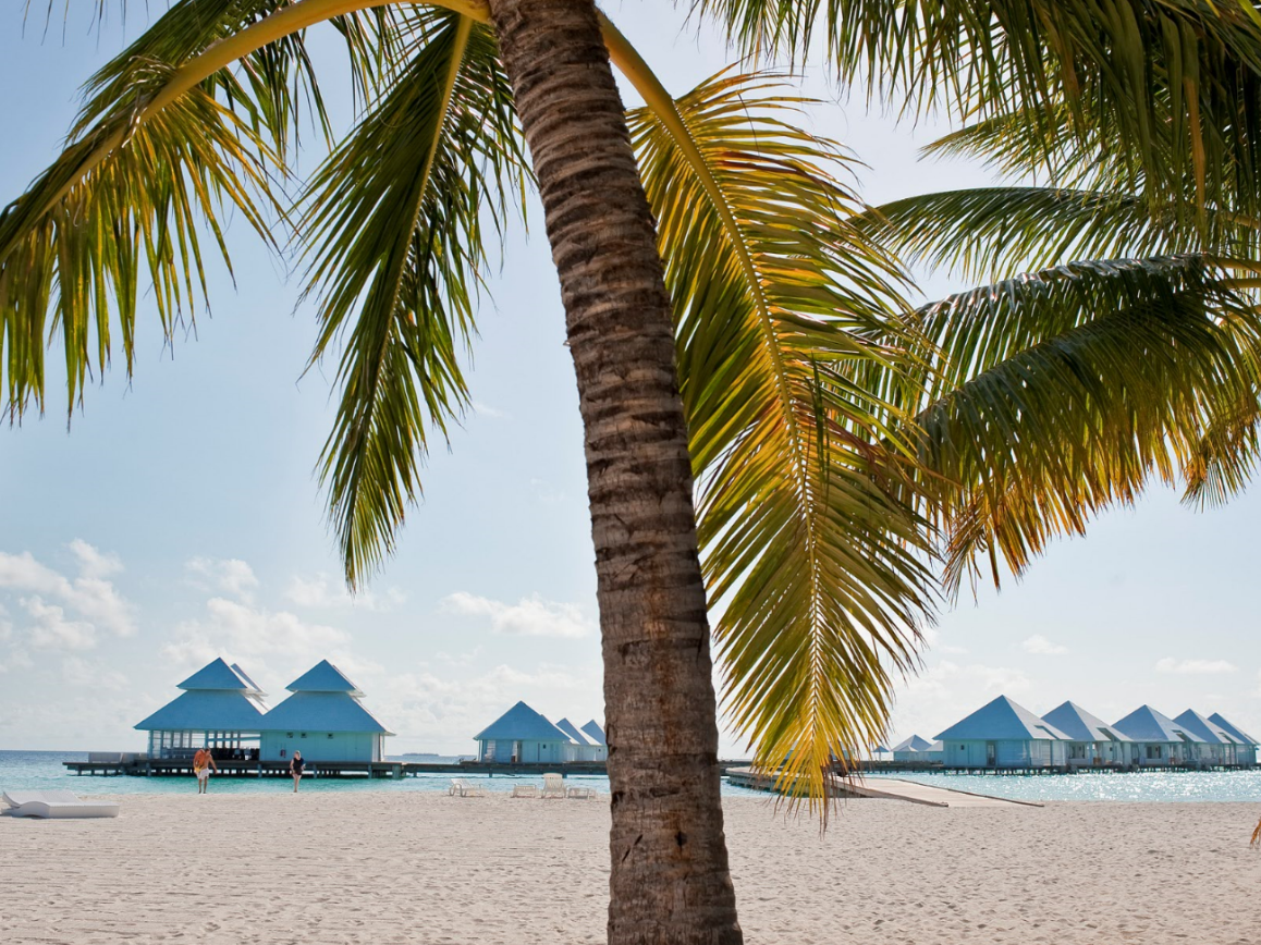 Diamonds Athuruga 12