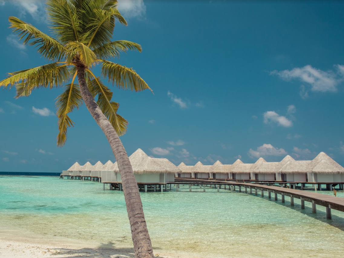 Drift Thelu Veliga Retreat 5