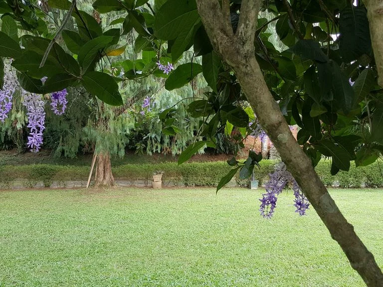 Eladetta Walauwa 5