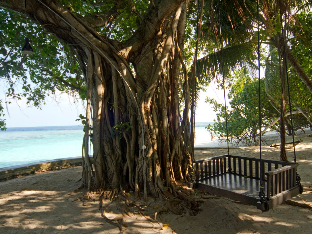Embudu Village 2