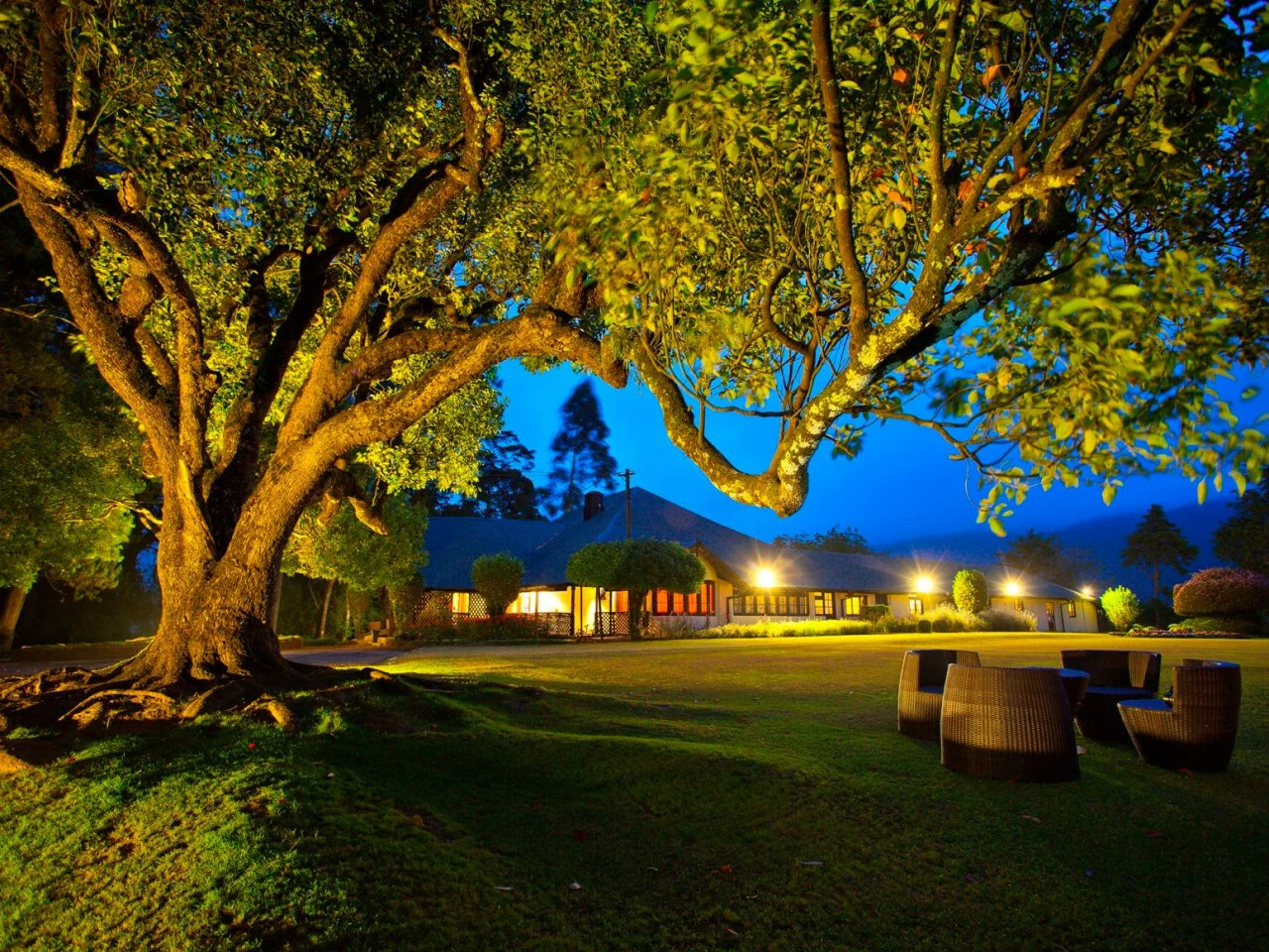 Ferncliff Boutique Bungalow 1