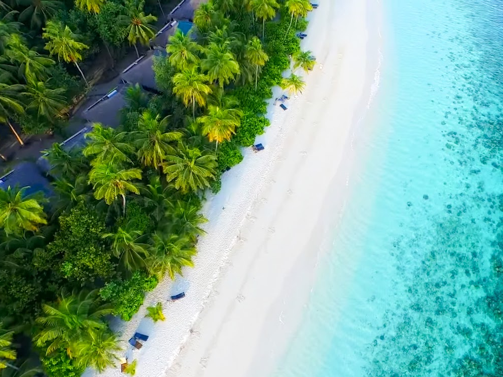 Filitheyo Island Resort 16