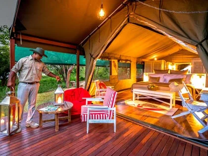 Flameback Eco Lodge 2
