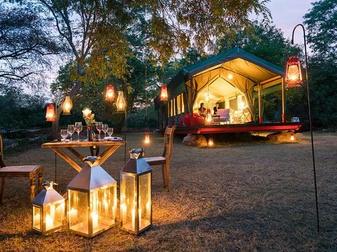 Flameback Eco Lodge 10