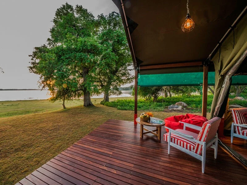 Flameback Eco Lodge 1