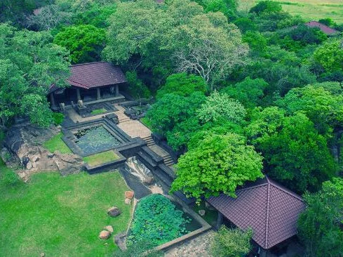 Forest Rock Garden Resort 4