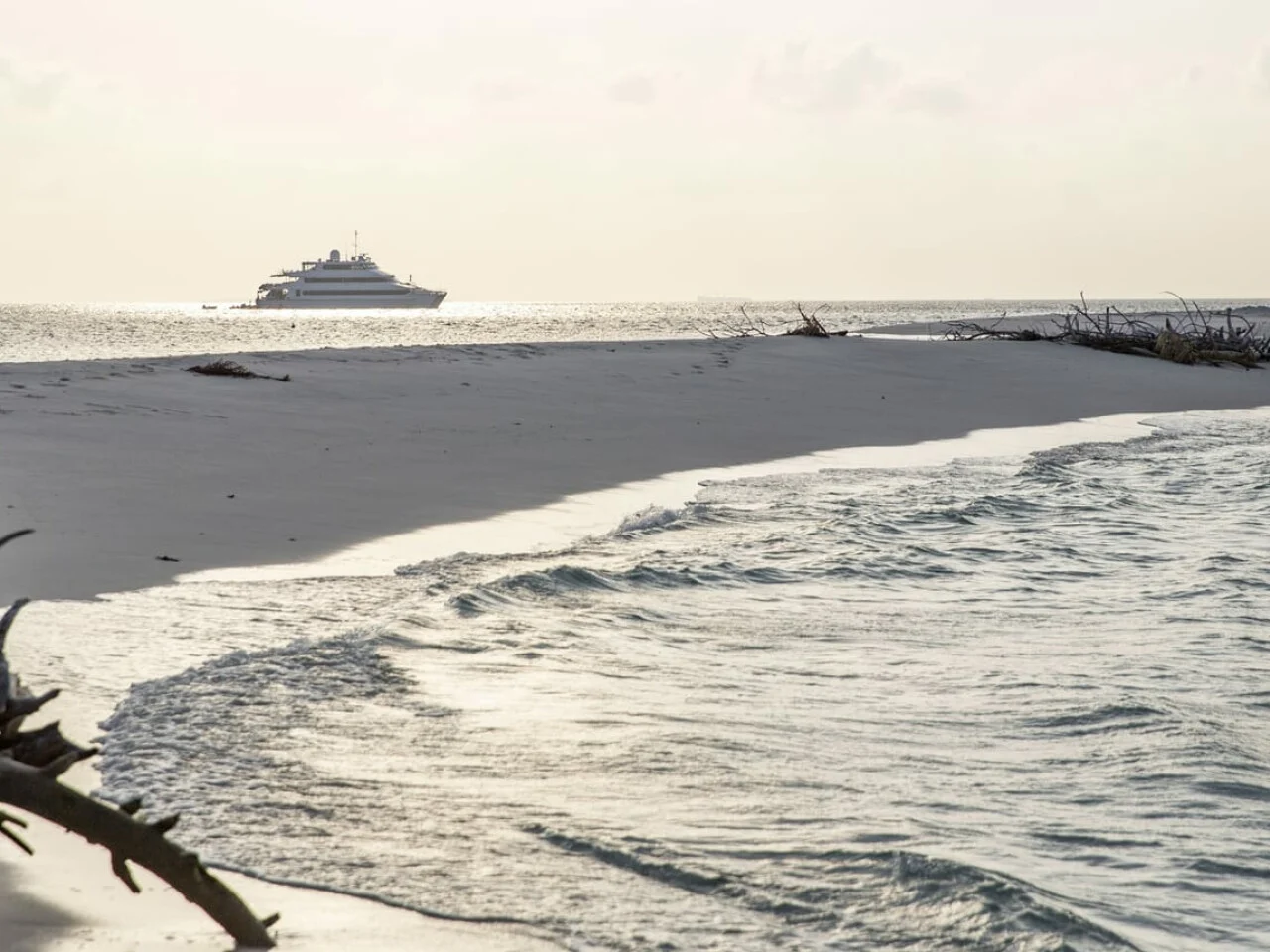 Four Seasons Explorer 8