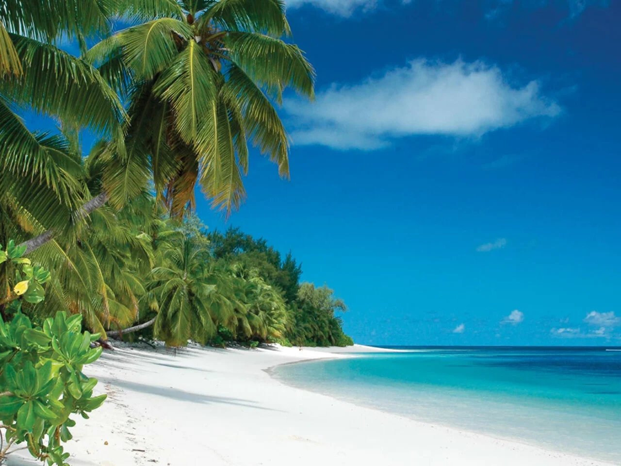 Four Seasons Resort Seychelles at Desroches Island 3
