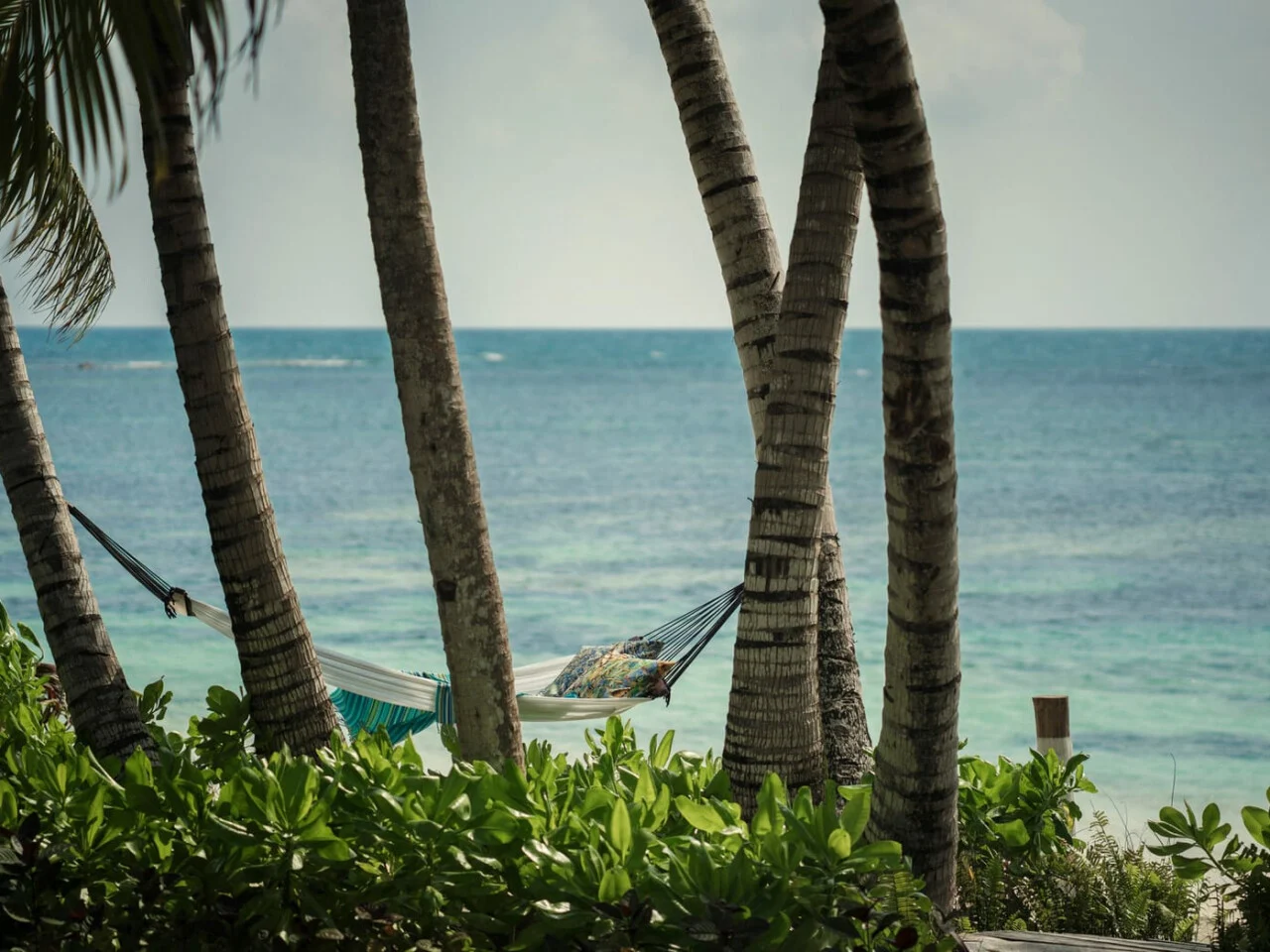 Four Seasons Resort Seychelles at Desroches Island 2