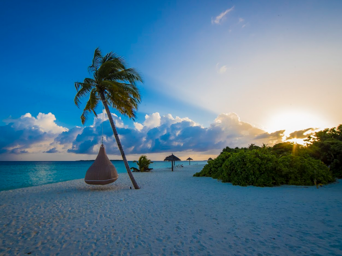 Furaveri Maldives 21