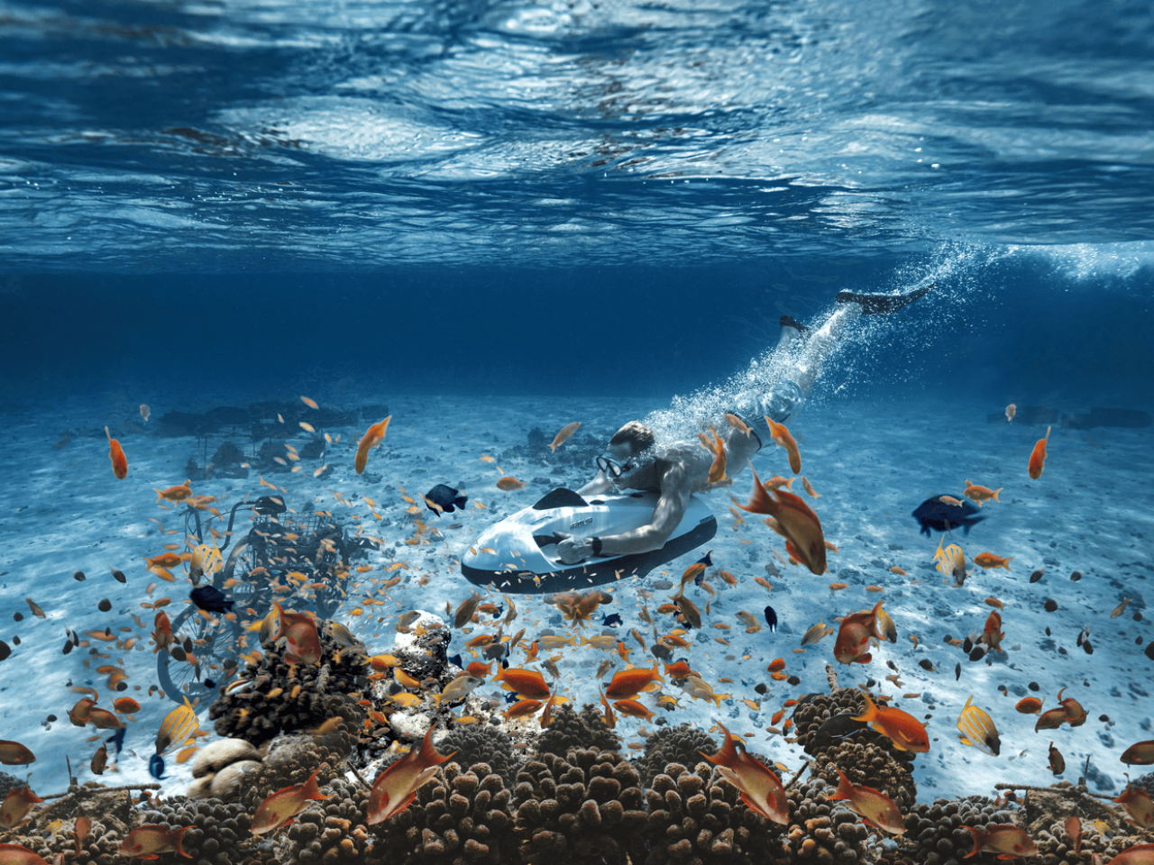 Fushifaru Maldives 13