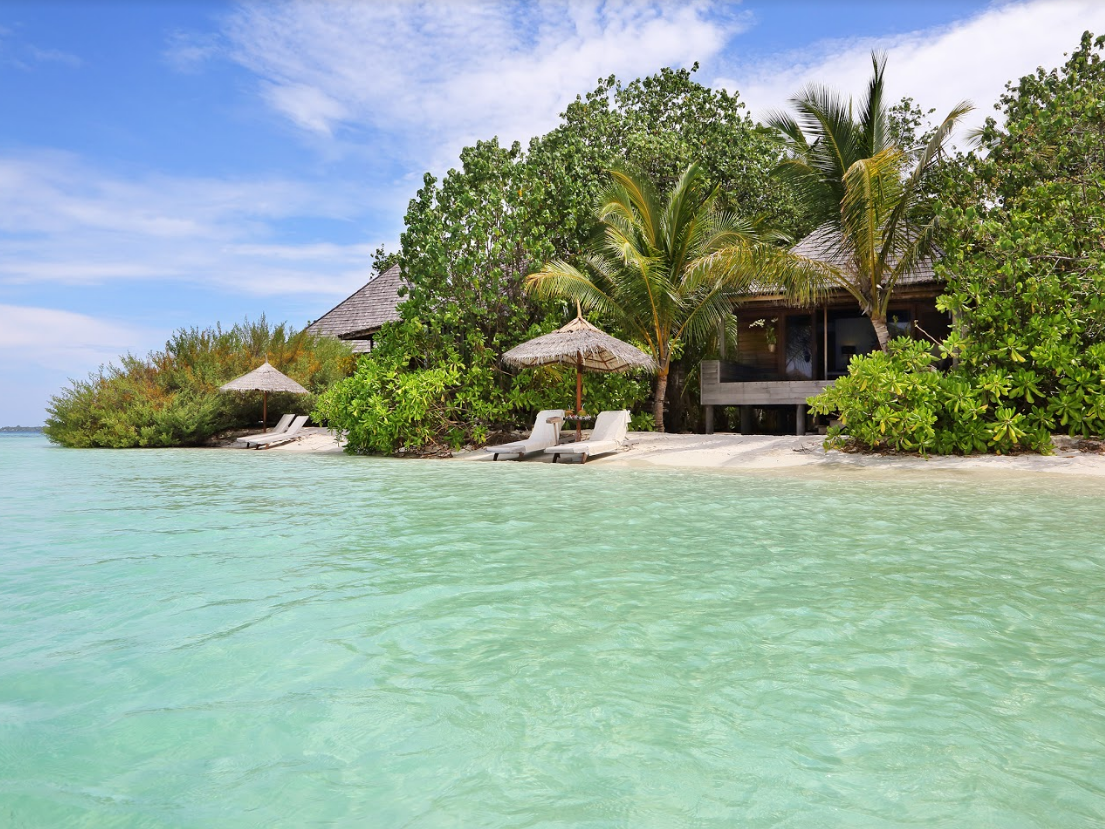 Gangehi Island Resort 8