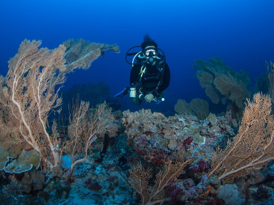 Grand Park Kodhipparu 5