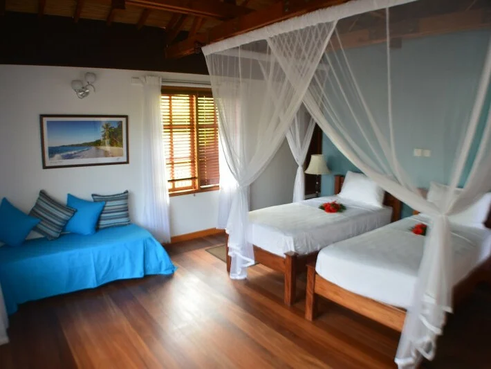 Heliconia Grove 3