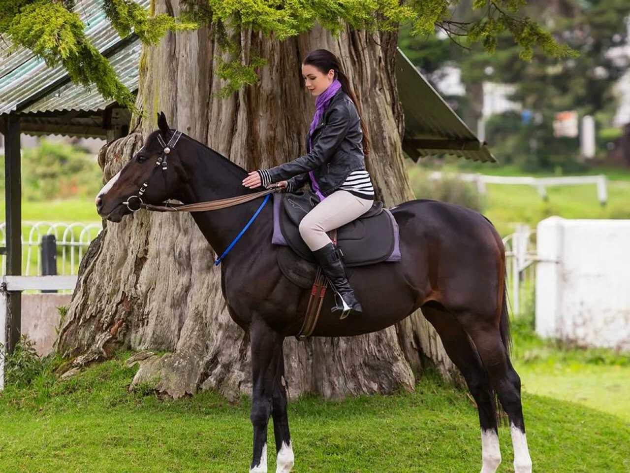 Hill Rise Nuwara Eliya 3