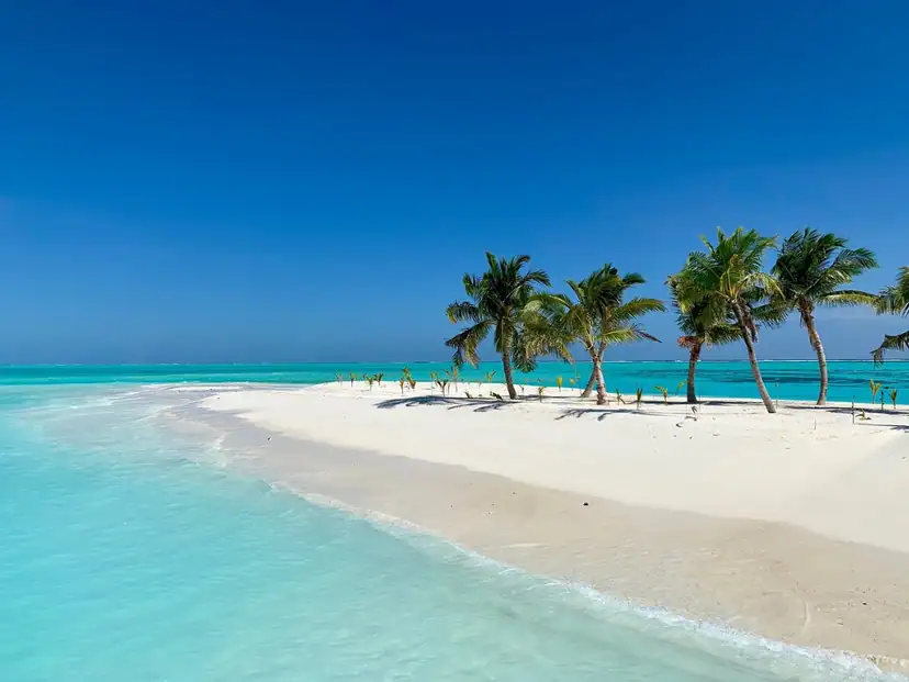 Hotel Riu Atoll