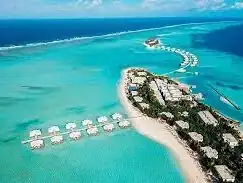 صورة: Hotel Riu Palace Maldives: Overwater Suite With Pool