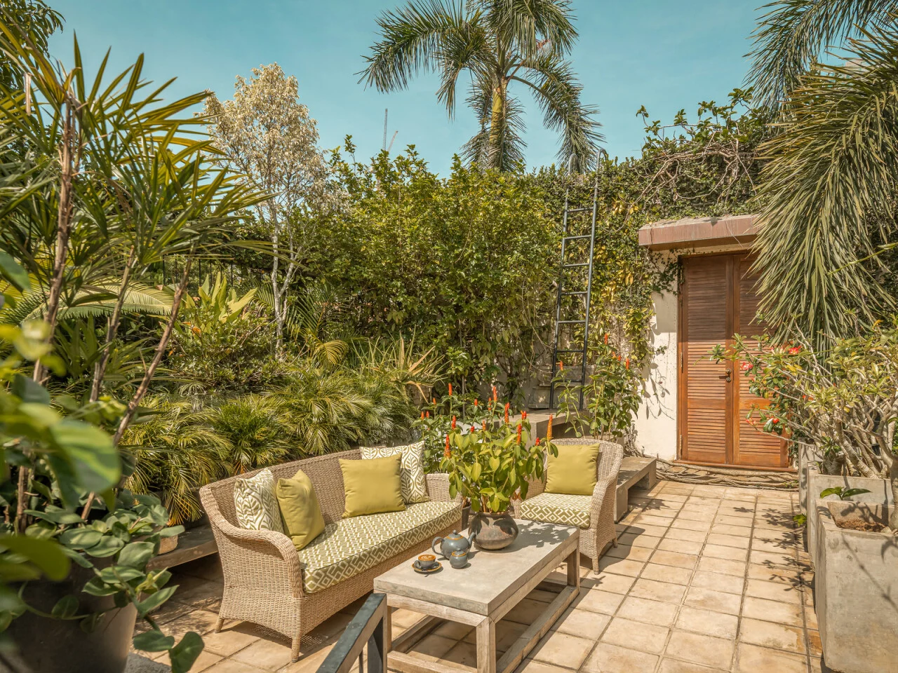 Ishq Colombo