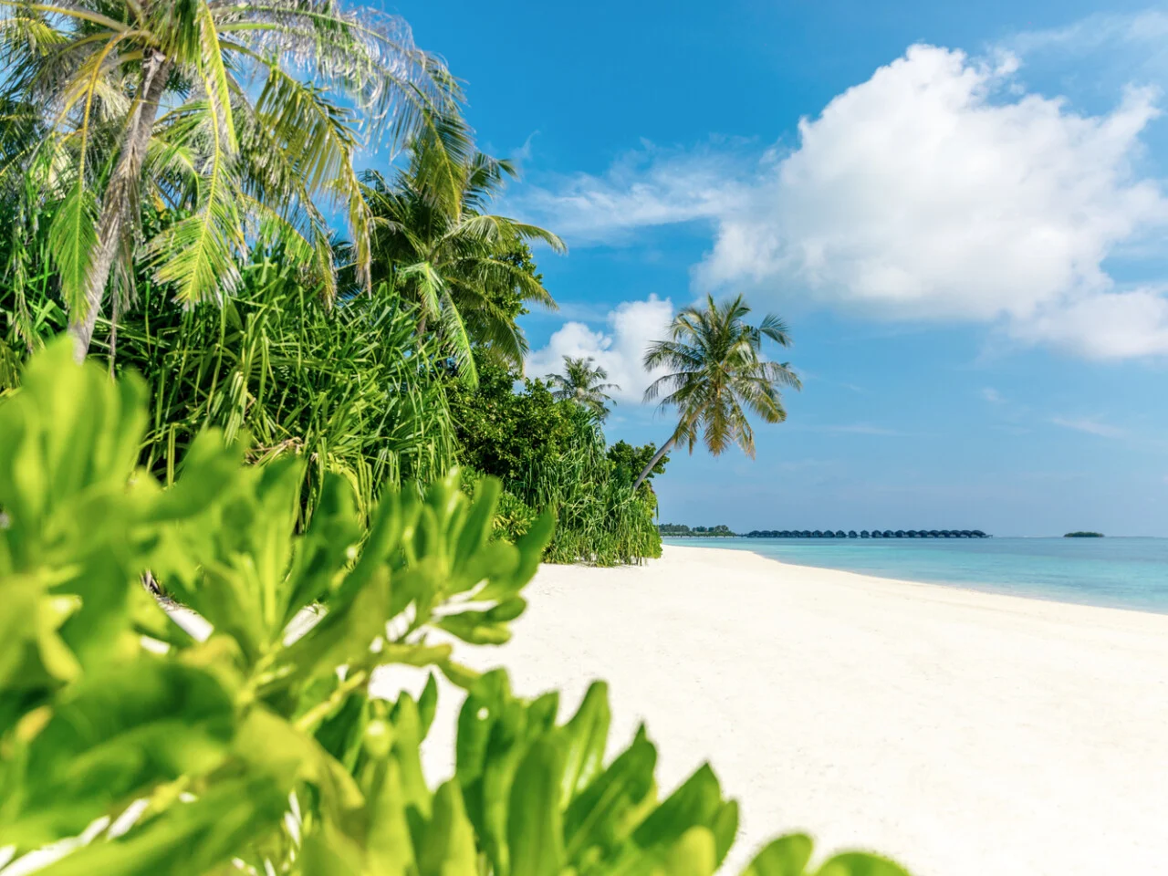 Jawakara Islands Maldives 16