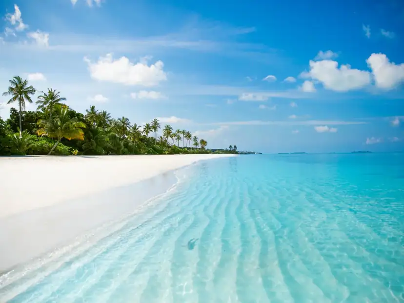 صورة: Jawakara Islands Maldives