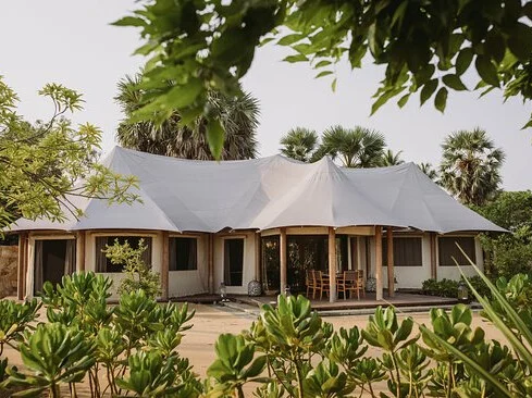 Seed Suite "Family Suite"