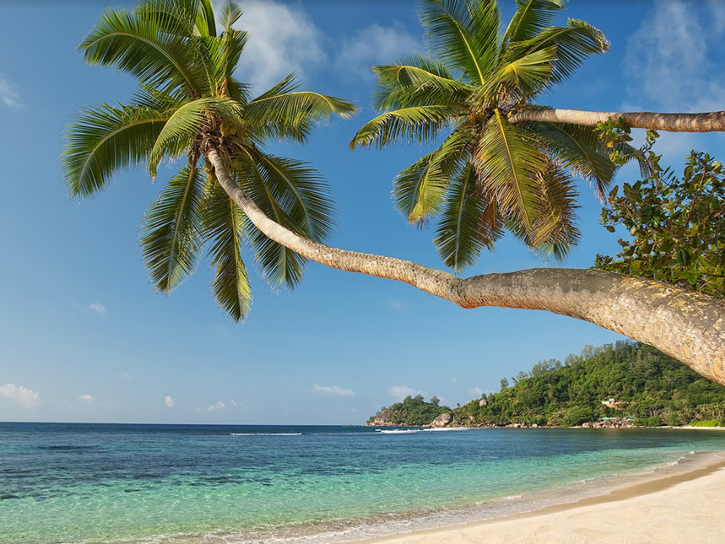 Kempinski Seychelles Resort 8