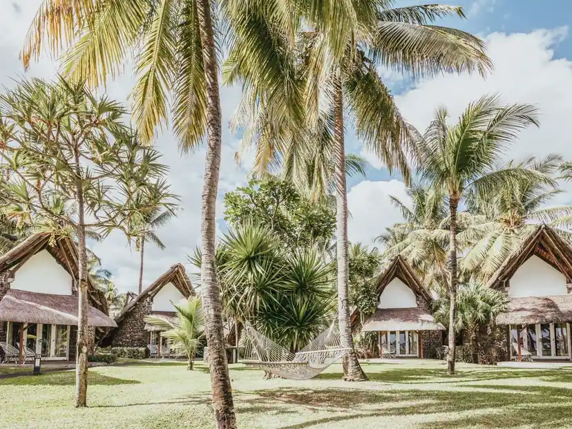 صورة: La Pirogue