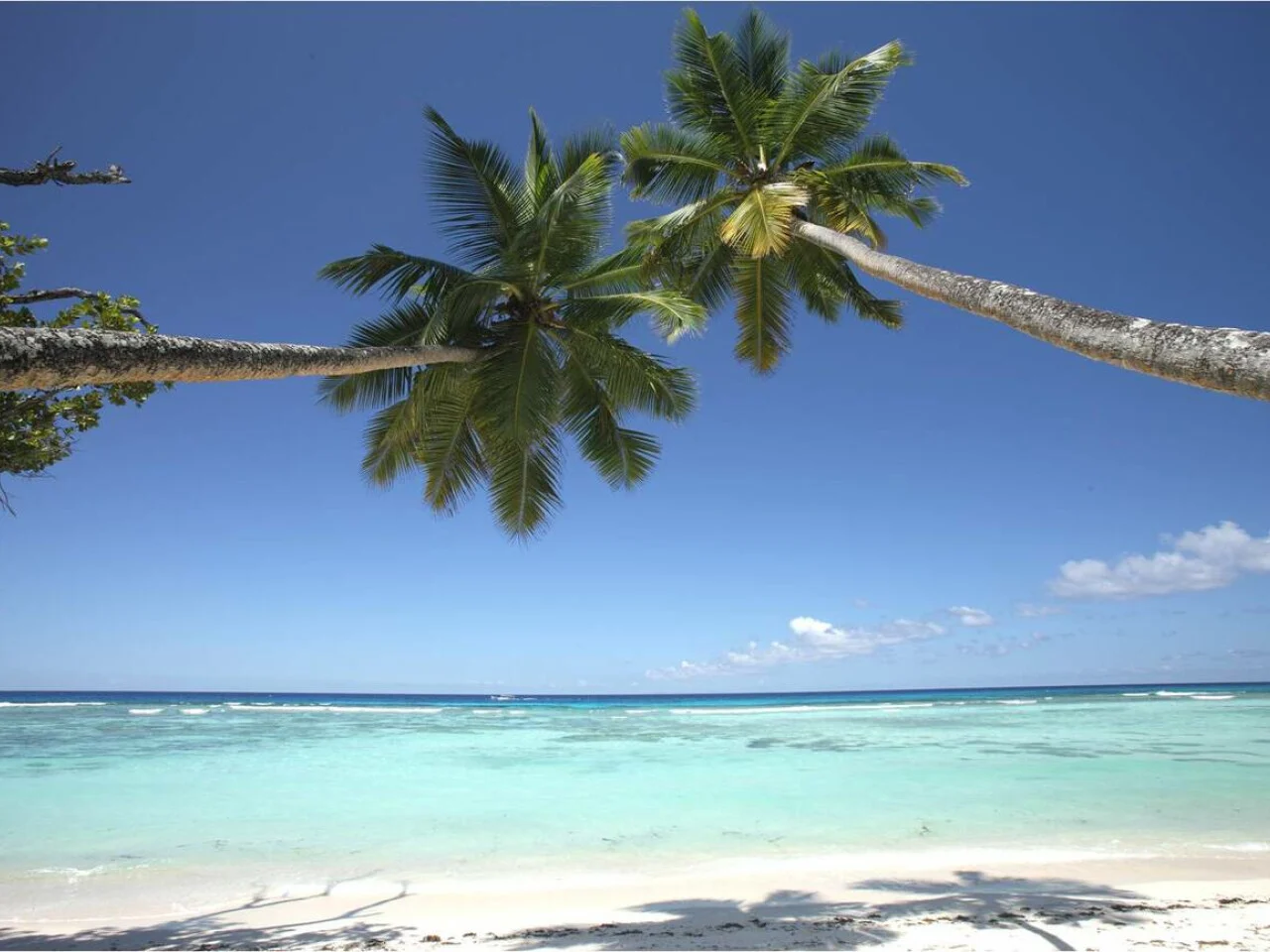 Labriz Silhouette Seychelles 6