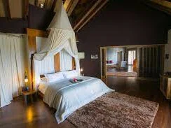 Le Domaine de L'Orangeraie Resort & Spa 7
