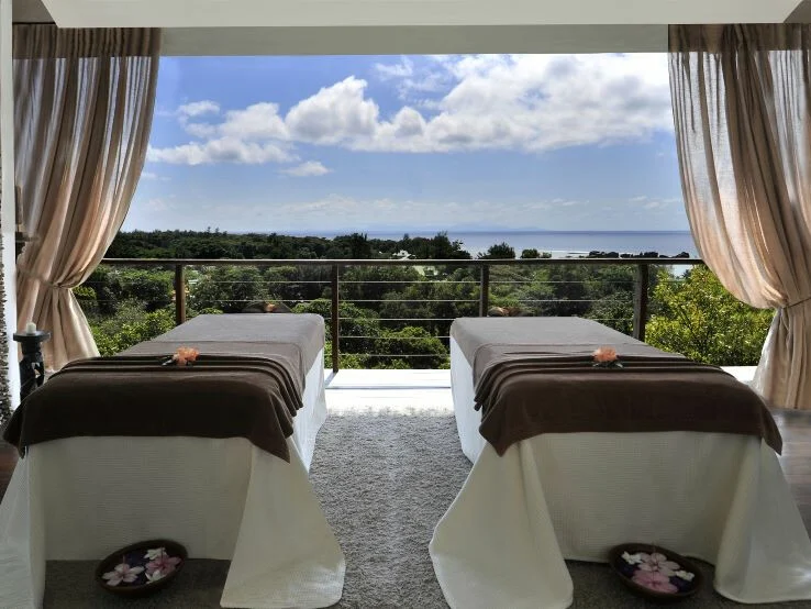 Le Domaine de L'Orangeraie Resort & Spa 2