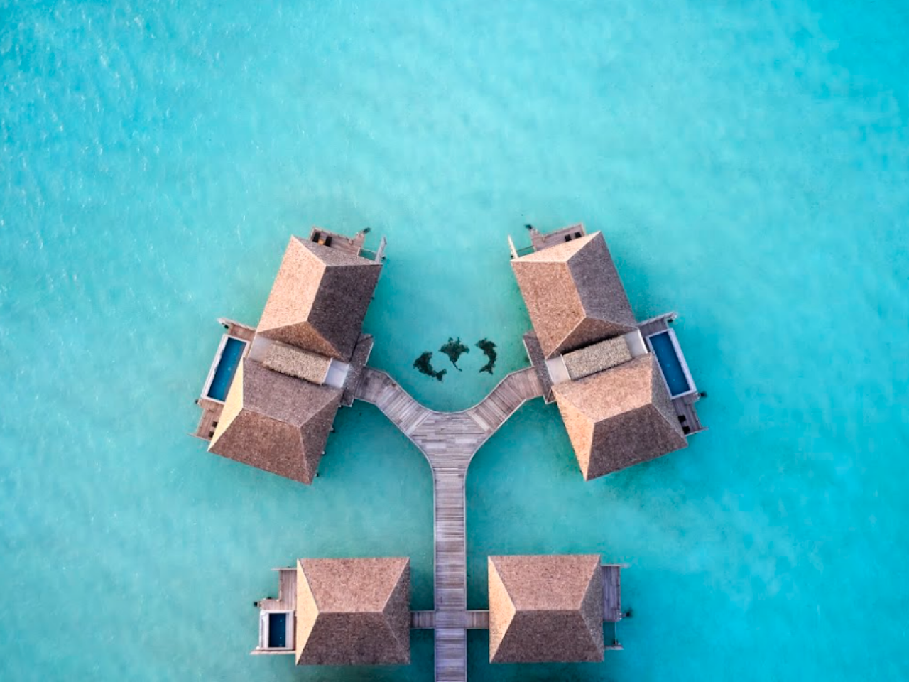 Le Meridien Maldives Resort & Spa 1
