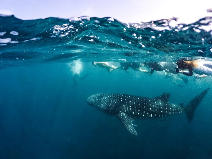 LUX* South Ari Atoll, Maldives 1