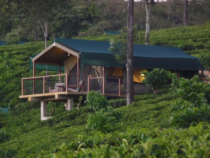 Madulkelle Tea and Eco Lodge 3