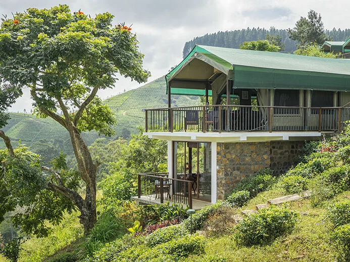 Madulkelle Tea and Eco Lodge 5