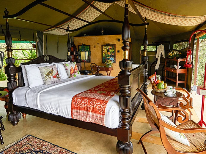 Madulkelle Tea and Eco Lodge