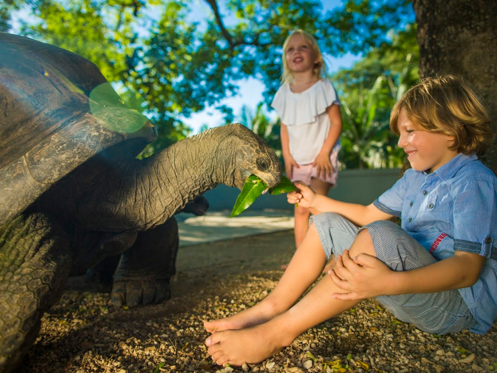 Maritim Resort & Spa Mauritius 14