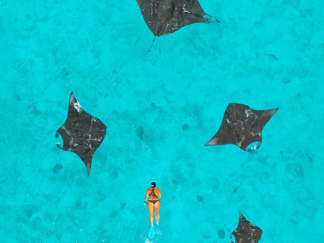 NH Collections Maldives Reethi Resort 5
