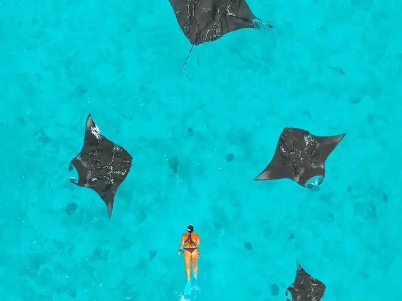 صورة: NH Collections Maldives Reethi Resort