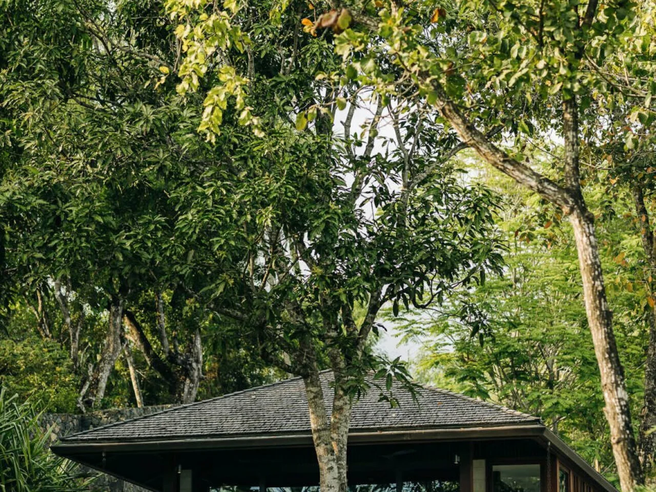 ÀNI - Sri Lanka 4