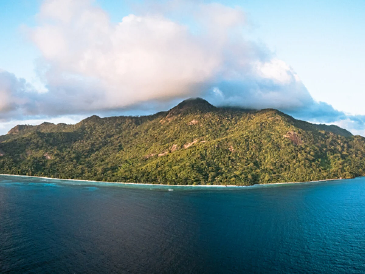 Niva Labriz Seychelles 12