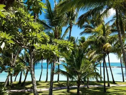 صورة: One&Only Le Saint Géran: Ocean Balcony Suite