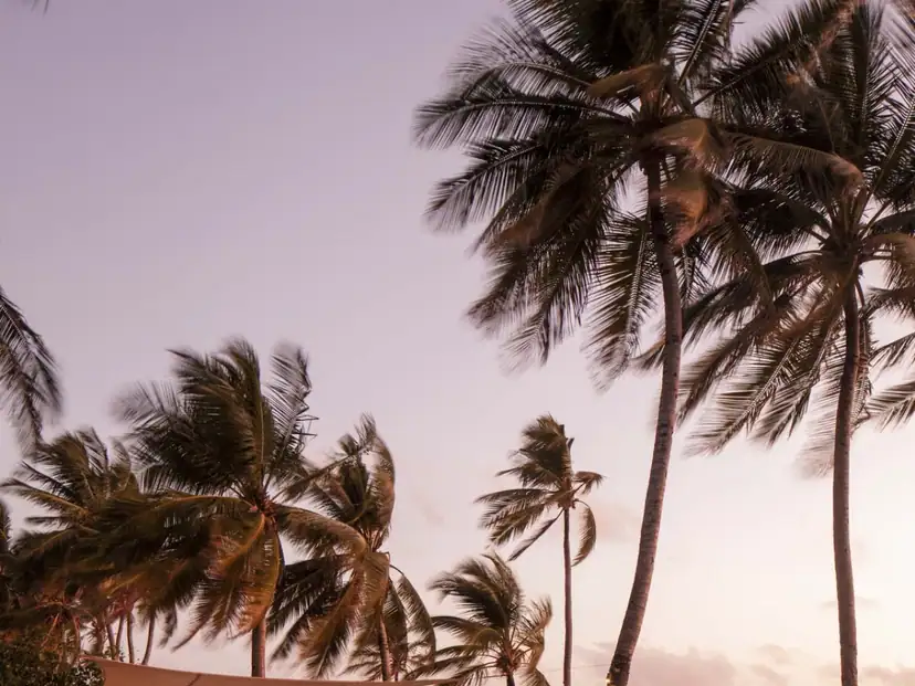 صورة: One & Only Reethi Rah