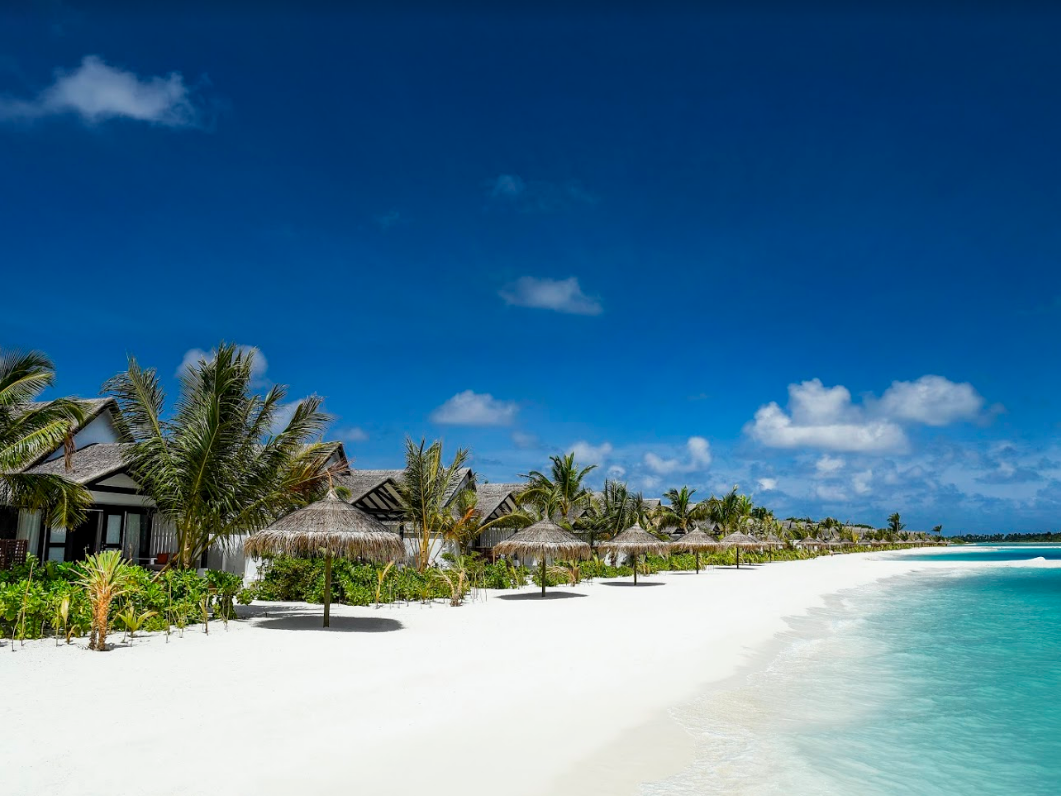 OZEN LIFE MAADHOO 25