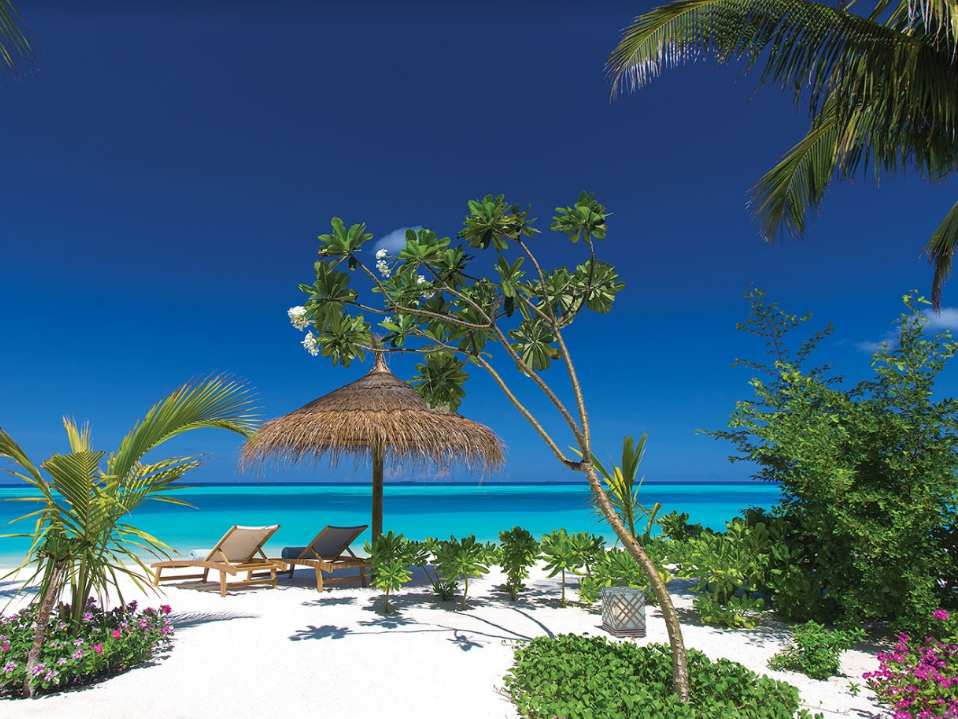 OZEN LIFE MAADHOO 32