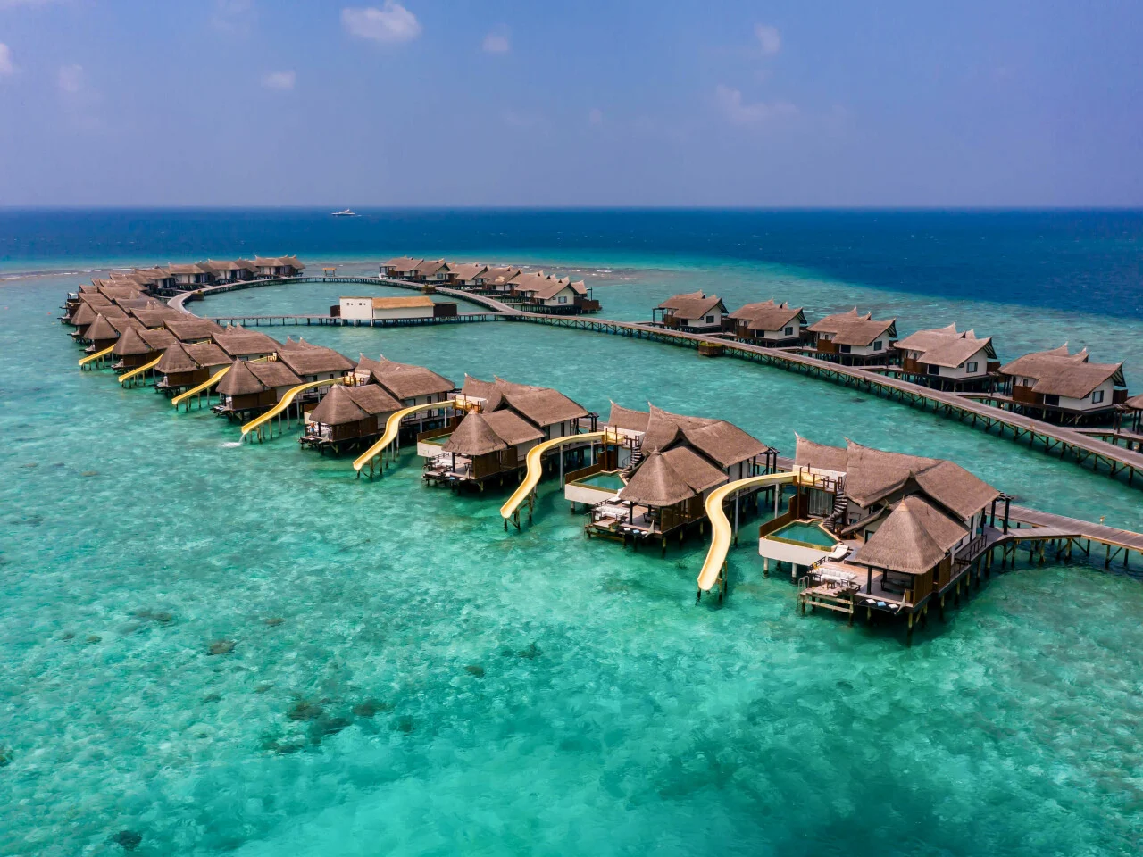 OZEN RESERVE BOLIFUSHI 1